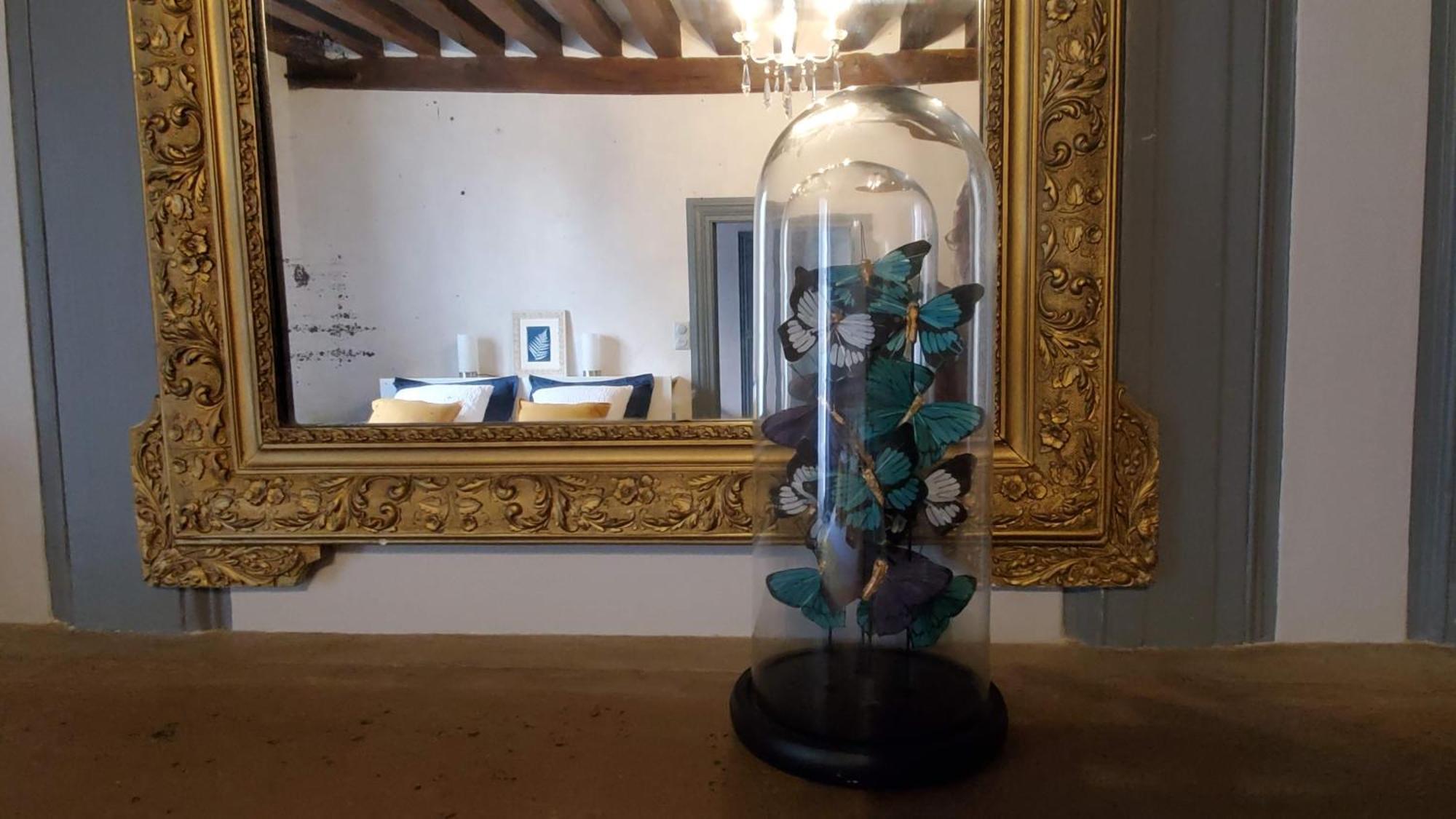 La Rossignolerie - La Familiale Vigneronne Bed & Breakfast Chouzy-sur-Cisse Exterior foto