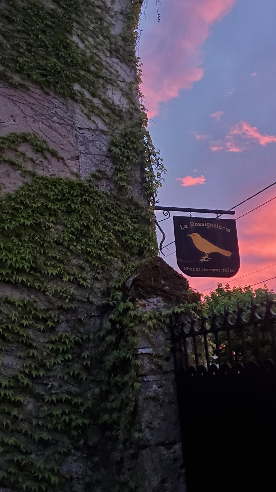 La Rossignolerie - La Familiale Vigneronne Bed & Breakfast Chouzy-sur-Cisse Exterior foto