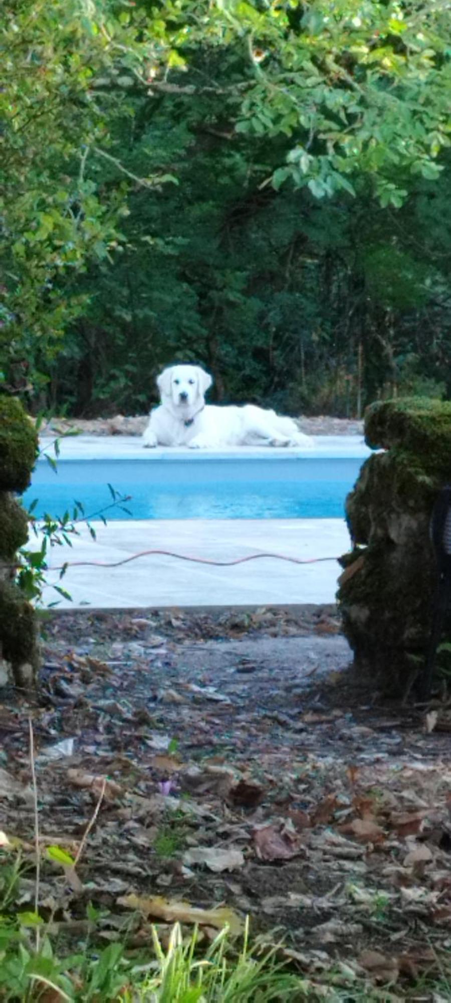 La Rossignolerie - La Familiale Vigneronne Bed & Breakfast Chouzy-sur-Cisse Exterior foto