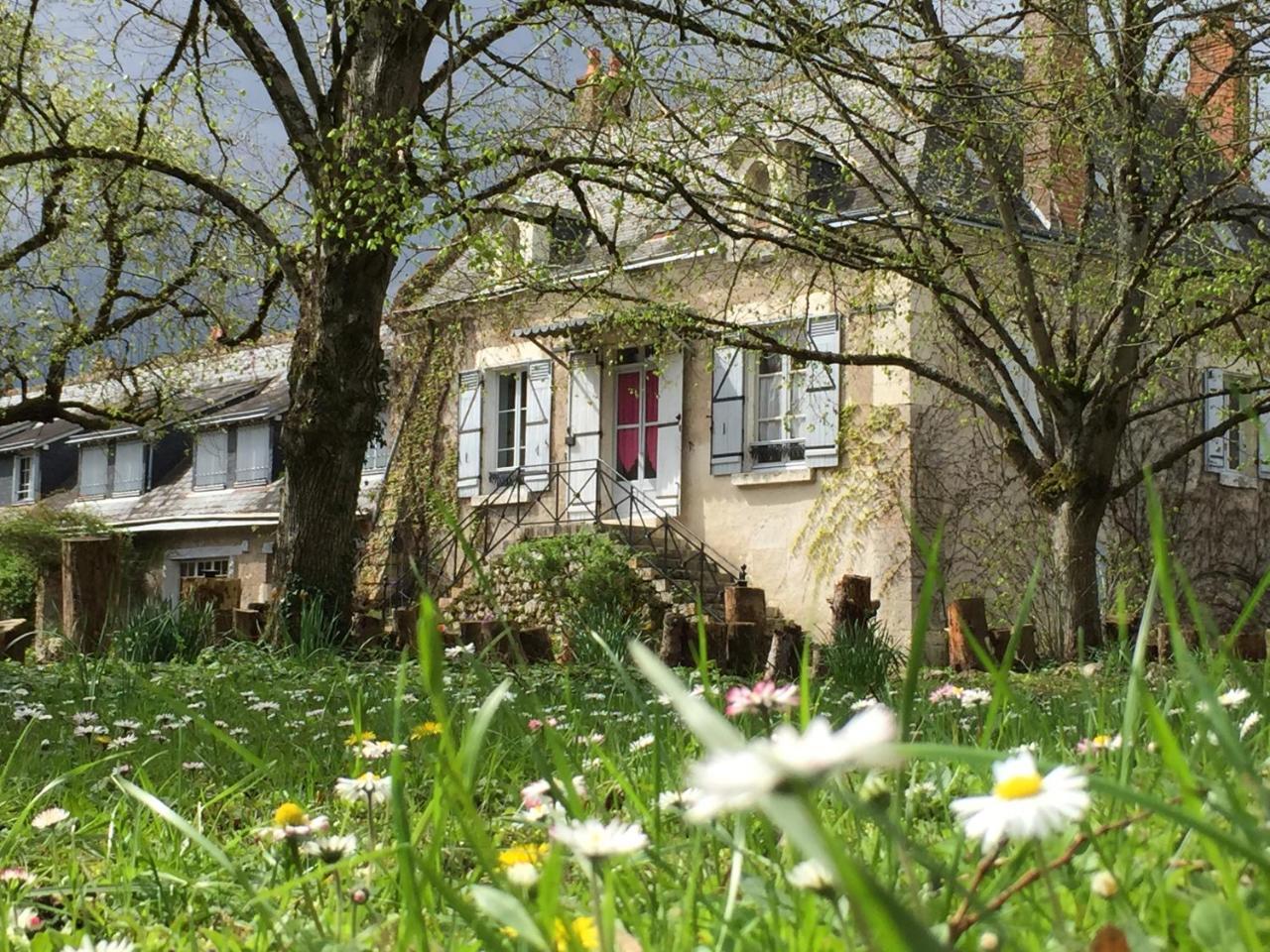 La Rossignolerie - La Familiale Vigneronne Bed & Breakfast Chouzy-sur-Cisse Exterior foto